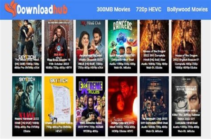 Best Movie Hub 4U - Streaming & Downloads