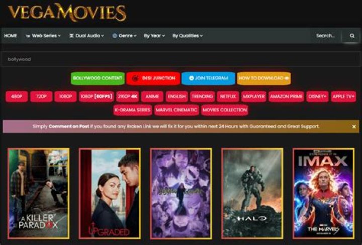 Best Vegamovies.in Alternatives & Streaming Options