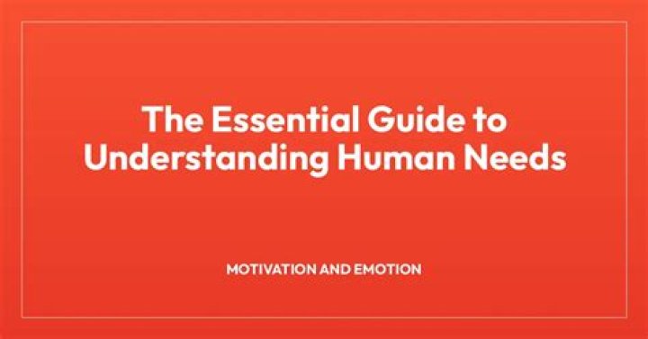 Essential Guide to Understanding Masahub 49