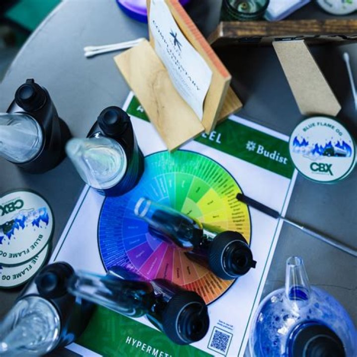 Garry Kief: The Ultimate Guide to Cannabis Connoisseurship