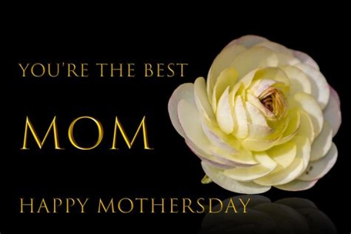 Mother's Warmth: A Haven of Comfort and Love
