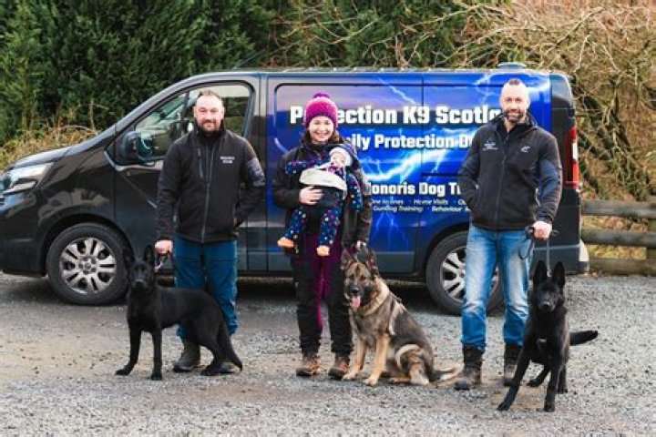 Secure Your Canine Companions: Prevent Rob Chien Incidents