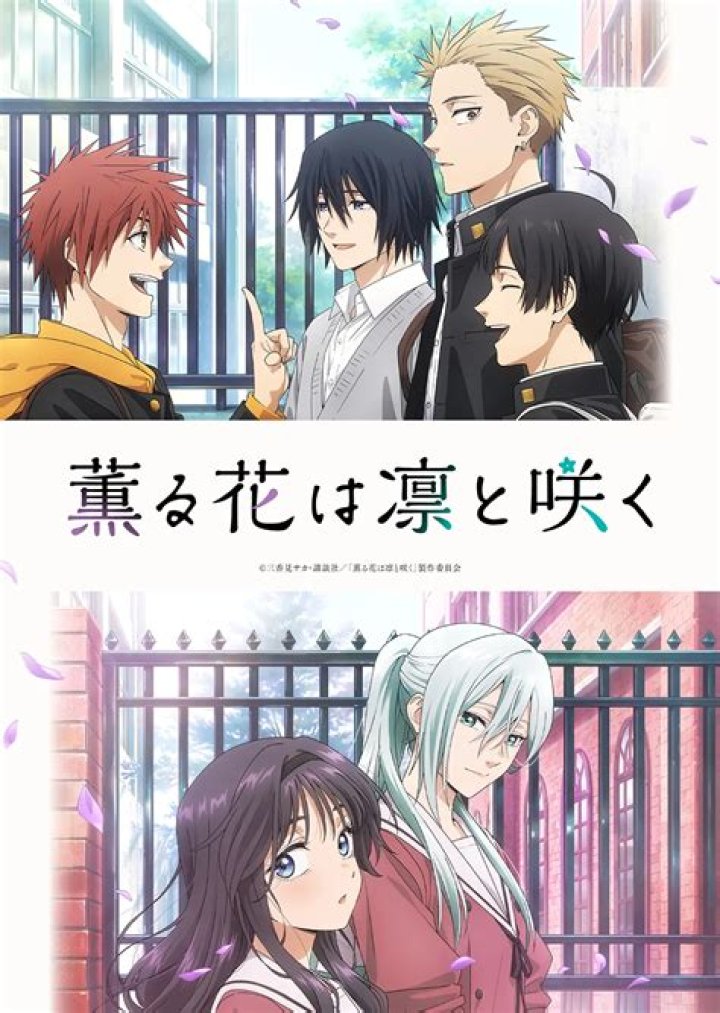 The Ultimate Guide to the Passionate "Kaoru Hana wa Rin to Saku" Fandom