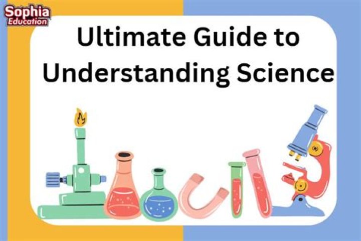 Ultimate Guide to Understanding Masa49