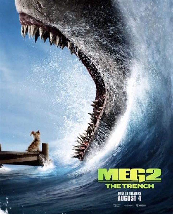 Unraveling the Mystery of the Meg Turney Leak