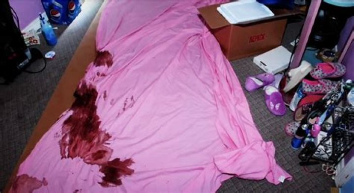 Unveiling the Mystery: Deedee Blanchard Crime Scene Photos